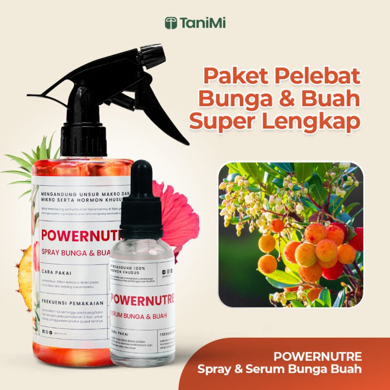 POWERNUTRE BUAH COMBO BOOSTER