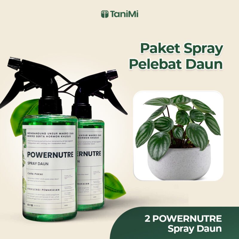 POWERNUTRE DOUBLE BOOSTER I SPRAY DAUN