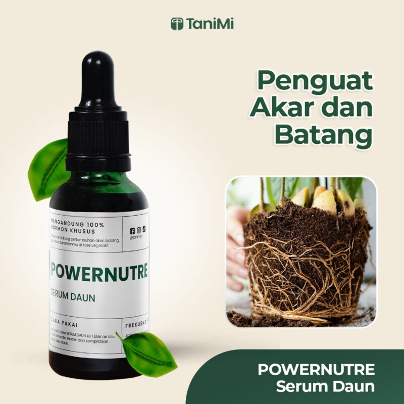 POWERNUTRE SERUM DAUN